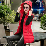 Waistcoat Cotton Padded Hooded